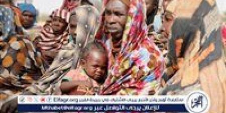 الأمم المتحدة: هناك 7 ملايين سوداني فروا من البلاد نتيجة الحرب