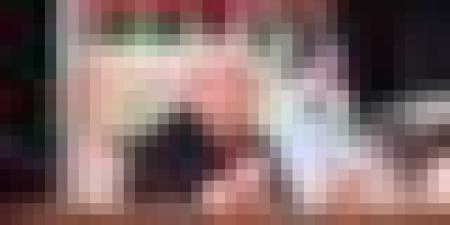 رئيس الجمهورية يُلقي خطابا للأمة