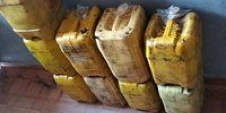 حملات تموينية مكثفة بالعجمي في الإسكندرية