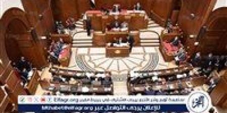 كيف نظمت اللائحة ضوابط تقديم طلبات المناقشة العامة بمجلس الشيوخ؟