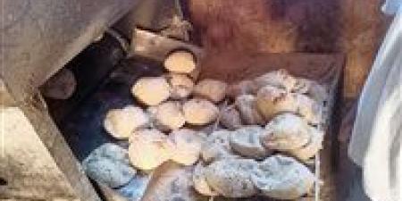 متحدث الحكومة: نصيب الفرد لا يزال ثابتاً عند 150 رغيف