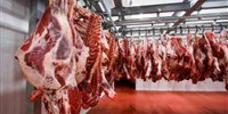 مفاجأة نهاية العام.. مصر تحقق الاكتفاء الذاتي من هذه المنتجات