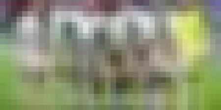 "الخضر" يتجاوزن غينيا الاستوائية بثلاثية وينهون دور المجموعات بالعلامة الكاملة