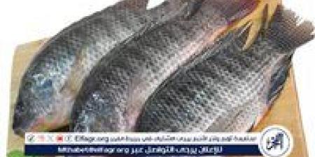 بكام السمك البلطى....اسعار السمك اليوم الاربعاء 31ديسمبر 2025 فى المنيا