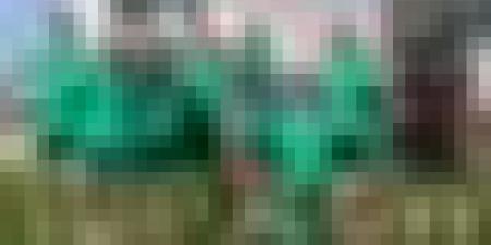 كأس أمم أفريقيا: الجزائر تواجه غينيا الاستوائية