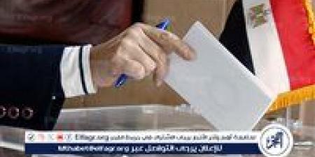 انتخابات مجلس النواب.. غلق التصويت في نيوزيلندا وأستراليا وكوريا الجنوبية والشمالية واليابان