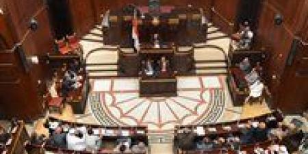 النائب حازم الجندي يطالب بتغيير التاريخ الموجود على "لوجو مجلس الشيوخ"