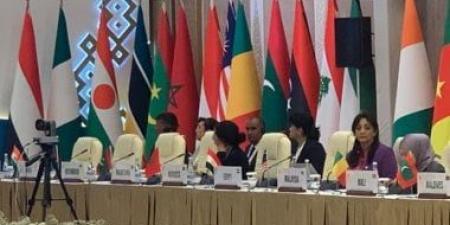 "تنفيذية منظمة التعاون الإسلامي" تعقد اجتماعًا استثنائيًا بشأن الصومال