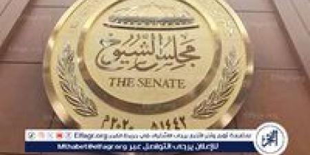 3 أيام حددتها الأمانة العامة لتسليم كارنيهات النواب الجدد.. تعرف عليها