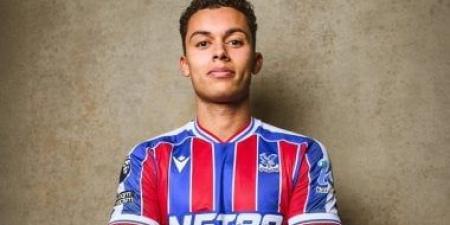 كريستال بالاس يضم برينان جونسون من توتنهام في صفقة قياسية