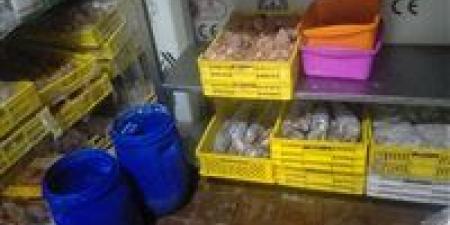 تموين الإسكندرية تضبط 500 كيلو لحوم مجهولة المصدر