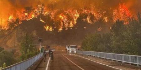 دراسة: حرائق الغابات تطلق كميات من تلوث الهواء تزيد عن المتوقع