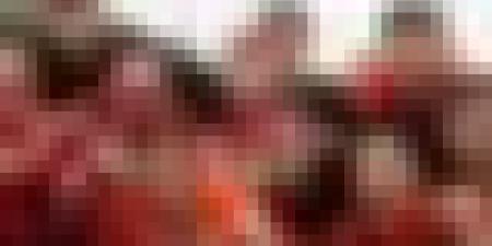 بن حمودة وبن غيث يقودان شباب بلوزداد للفوز أمام نجم بن عكنون