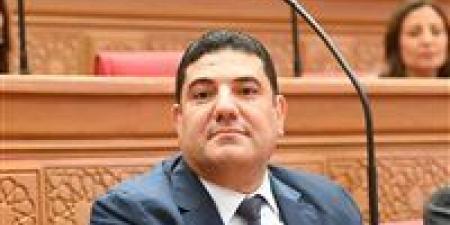 أحمد عبد المجيد: توجيهات الرئيس السيسي للحكومة ترسم مسارًا واضحًا لتعزيز الاقتصاد وتحقيق الاستقرار