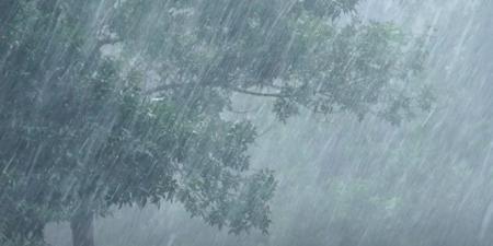 استمرار تساقط الأمطار عبر عدة ولايات إلى غاية الخميس