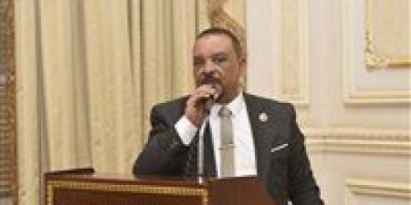 النائب أحمد حافظ: قرارات الحكومة بشأن زيادة الأجور ودعم الفلاح تعكس انحيازًا واضحًا للمواطن وتعزز صمود الاقتصاد