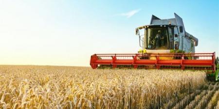 مرور الجيزة يشن حملة موسعة على الطرق الزراعية ويضبط 77 مركبة مخالفة