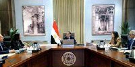 رئيس الوزراء: التوسع في العمل عن بُعد خلال الفترة المقبلة لمواجهة استمرار الأزمة