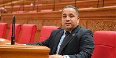 النائب هاني شحاتة: رفع الحد الأدنى للأجور خطوة لتحسين مستوى المعيشة.. ونطالب بزيادة المعاشات لتعزيز الحماية الاجتماعية