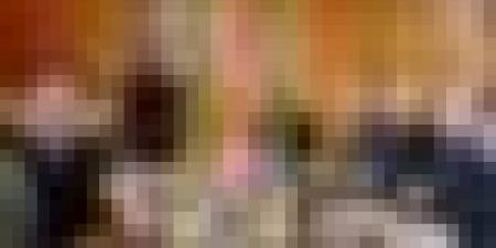 مباحثات جزائرية - سويسرية لتعزيز الشراكة الثنائية بين البلدين