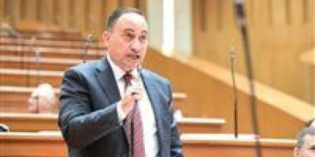 محمد زين الدين يطالب برقابة صارمة على قرار العمل عن بعد لمنع تعطل مصالح المواطنين