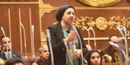 رئيس مجلس الشيوخ يهنئ النائبة أميرة صابر بانتخابها في المحافل الدولية