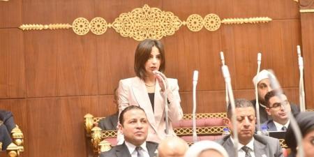 يوستينا رامي: قانون حماية المنافسة نقلة نحو السوق المنظم