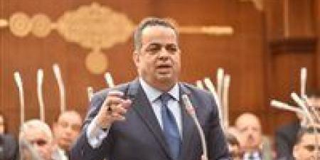 النائب عصام هلال يوافق على مشروع قانون حماية المنافسة.. ويؤكد الاحتكار خطر يهدد توازن السوق ونؤيد القانون لضبطه