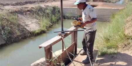 محافظ أسوان يشيد بنجاح موسم الزراعات الشتوية.. ويوجه الشكر لوزراء الري والزراعة