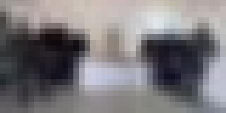 وهران: حجز قرابة 3 كلغ كوكايين وأكثر من 451 ألف قرص مهلوس و توقيف ثمانية أشخاص