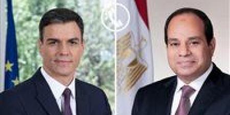 الرئيس السيسي يؤكد إدانة مصر القاطعة للاعتداءات على الدول العربية الشقيقة