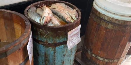 حكاية أقدم محل فسيخ ورنجة وأسرار الصنعة قبل شم النسيم (فيديو)