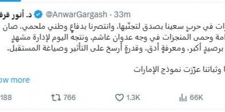 قرقاش: الإمارات انتصرت في الحرب وتتجه للتعامل مع مشهد إقليمي معقد