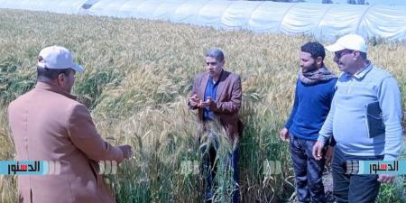 وكيل "زراعة كفر الشيخ" يعلن "خطوطًا حمراء" لحماية الأرض ودعم الفلاحين