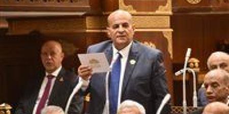 تعليقا على مقترح حصول المطلقة على ثلث دخل زوجها.. النائب أحمد الجهمي لـ تحيا مصر: قانون الأحوال الشخصية يحتاج تدخل حقيقي.. وثلث الدخل ليس حلًا لكل الحالات