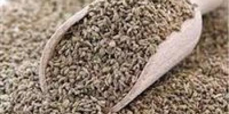 بعد الفسيخ والرنجة مشروب سحري ينقذ معدتك في شم النسيم ويطرد السموم فورا