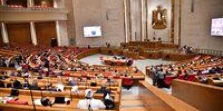 النائب عادل اللمعي: دعم الفئات الأولى بالرعاية أولوية لا تقبل التأجيل في الموازنة الجديدة