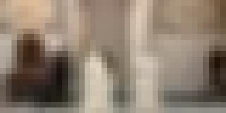 البابا ليون الرابع عشر يزور جامع الجزائر