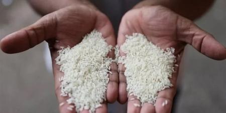 أسعار الأرز الشعير اليوم الثلاثاء 14 إبريل 2026 بالأسواق والمضارب