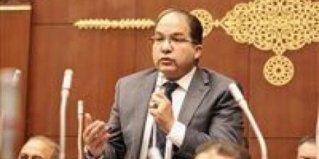 النائب عادل اللمعي: توجيهات رئاسية بقوانين الأسرة وصندوق الدعم تعزز استقرار المجتمع