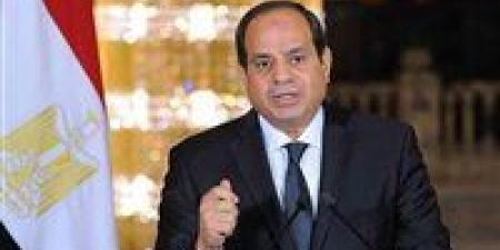 الرئيس السيسي: تعميق التصنيع المحلي وتطوير الصناعات الدفاعية أولوية وطنية