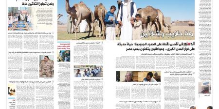 هنا حلايب وشلاتين.. الدستور فى أقصى نقطة على الحدود الجنوبية: حياة حديثة على غرار المدن الكبرى