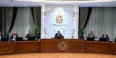 برئاسة مدبولي.. 7 قرارات مهمة لمجلس الوزراء تشمل الطاقة والزراعة والأمن السيبراني