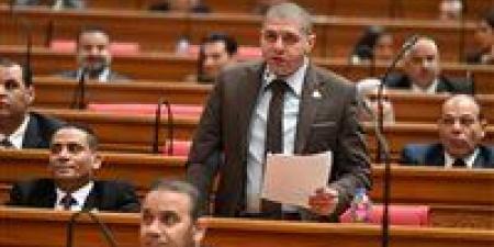 النائب أحمد جبيلي: الحوافز الحكومية لتوطين صناعة السيارات خطوة استراتيجية لدعم الاقتصاد وجذب المستثمرين