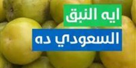 كيف تحوّل «تفاح الغلابة» إلى حكاية كفاح تُباع في الأسواق؟