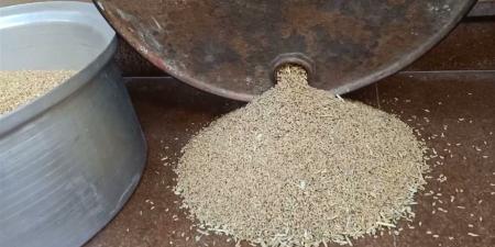 أسعار الأرز والدقيق في أسواق محافظة الغربية اليوم الخميس 16 إبريل 2026