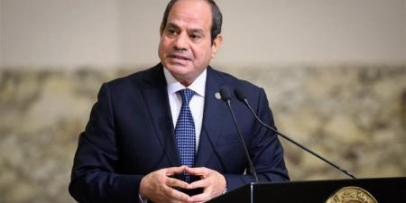 "إكسترا نيوز": مصر تواصل جهودها لاحتواء الصراعات الإقليمية