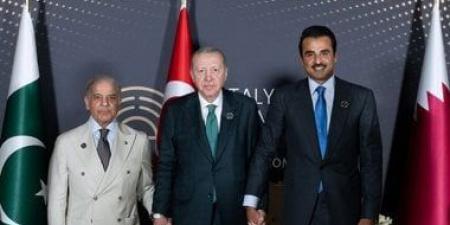 أمير قطر ورئيس تركيا يعربان عن دعمهما لجهود رئيس وزراء باكستان