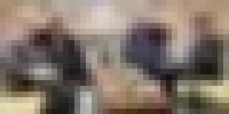 محادثات بين عطاف وبولس بأنطاليا