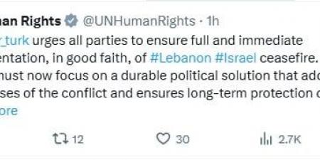 فولكر تورك: وقف إطلاق النار في لبنان يجب أن يكون أساسًا لتسوية شاملة